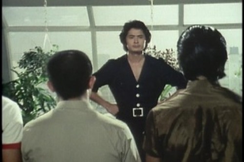 PDVD_001.jpg