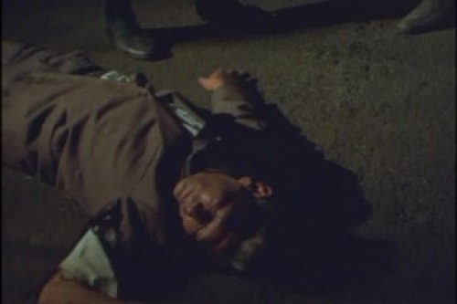 PDVD_006.jpg