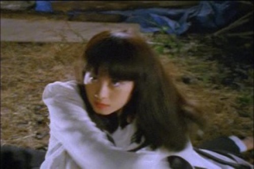 PDVD_270.jpg