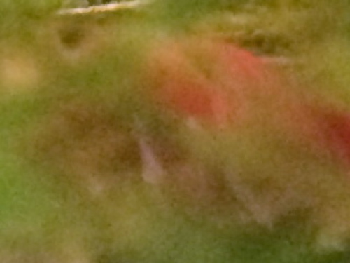 d2014051902.jpg
