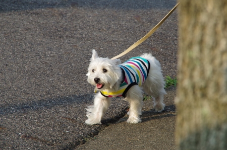 IMGP0956.jpg