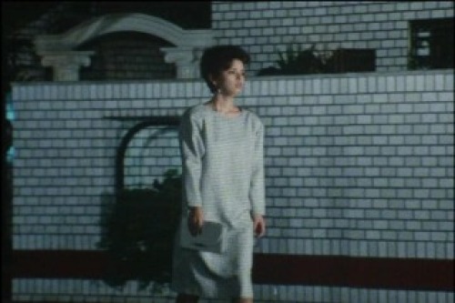 PDVD_036.jpg