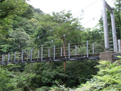 屋久島40.jpg