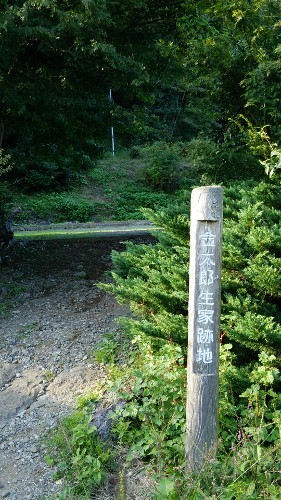 DSC_0793 (281x500).jpg