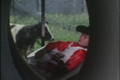 PDVD_006.jpg