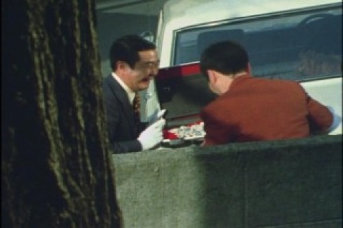 PDVD_014.jpg