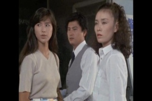 PDVD_019.jpg