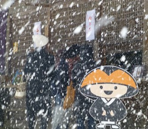 すごい雪.JPG