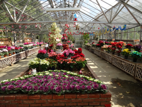 20131214-5.JPG