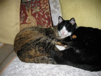 クロ・みかん　2012.10.02 005.jpgブログ.jpg