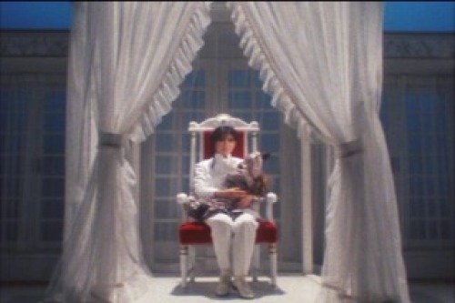 PDVD_010.jpg
