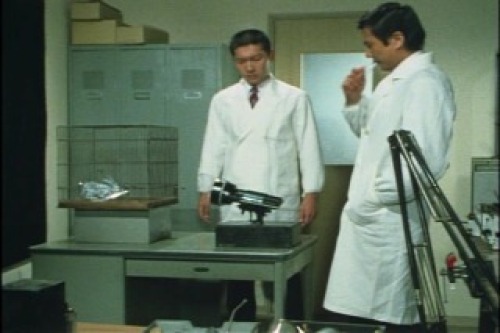 PDVD_005.jpg