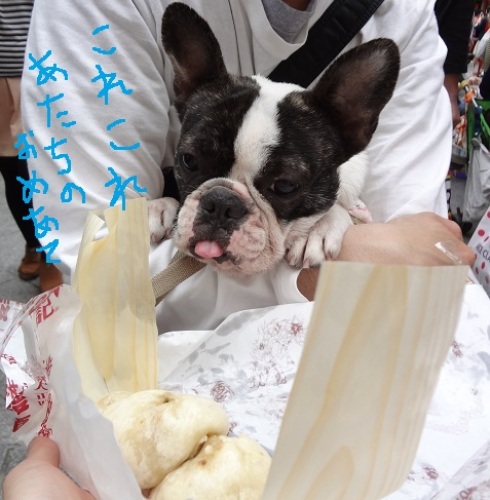 神戸9.jpg