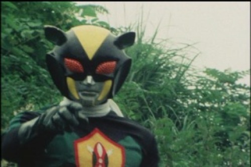 PDVD_023.jpg