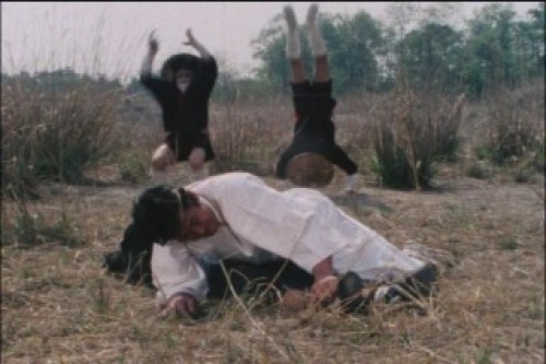 PDVD_032.jpg