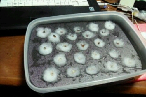 2016-11-26 19-28-10.jpg