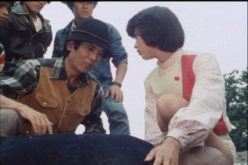 PDVD_045.jpg