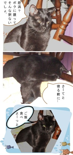 チャン名言＿クロケンさん.jpg