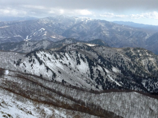 Shiragamon20160108.JPG