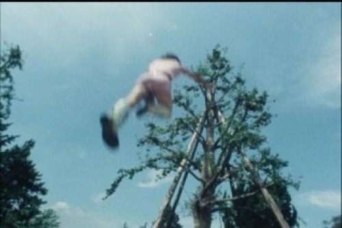 PDVD_017.jpg