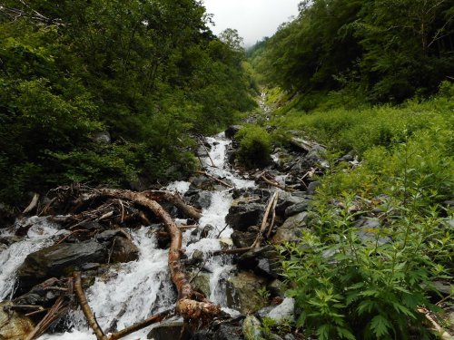 北岳広河原大樺沢支流 (2).JPG