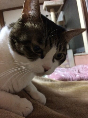 IMG_8844 - コピー.JPG