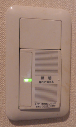 ブランクチップ