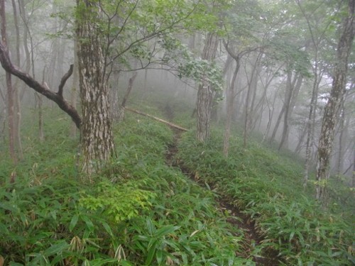 榛名外輪山天目山 (2) (500x375).jpg