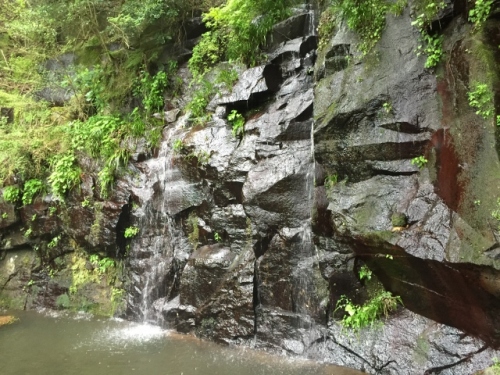 IMG_6775 (640x480).jpg