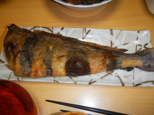 DSCN0496.JPG