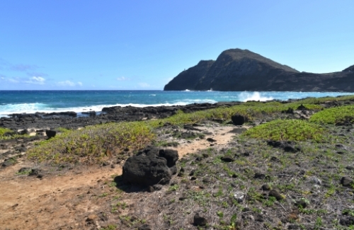 pict-マカプウ 20.jpg