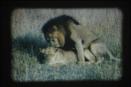 PDVD_002.jpg