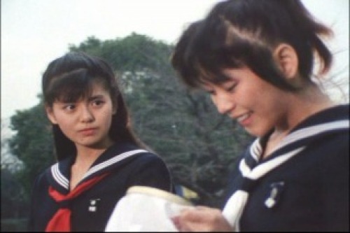 PDVD_010.jpg