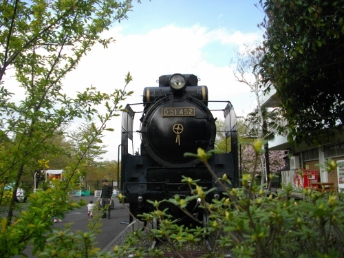 青梅丘陵青梅市内青梅鉄道公園D51 (500x375).jpg