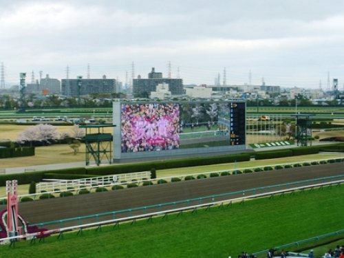 DSCF7650.JPG