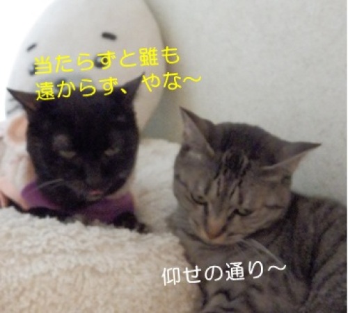 20141022_5.jpg