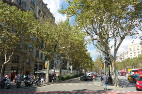 スペイン942.jpg