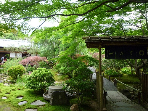 お庭にお１つ、龍安寺の蹲(つくばい) 龍安寺その2.】水戸黄門寄贈の【知足の蹲】(ちそくのつくばい) | 京都