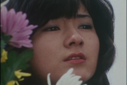 PDVD_015.jpg