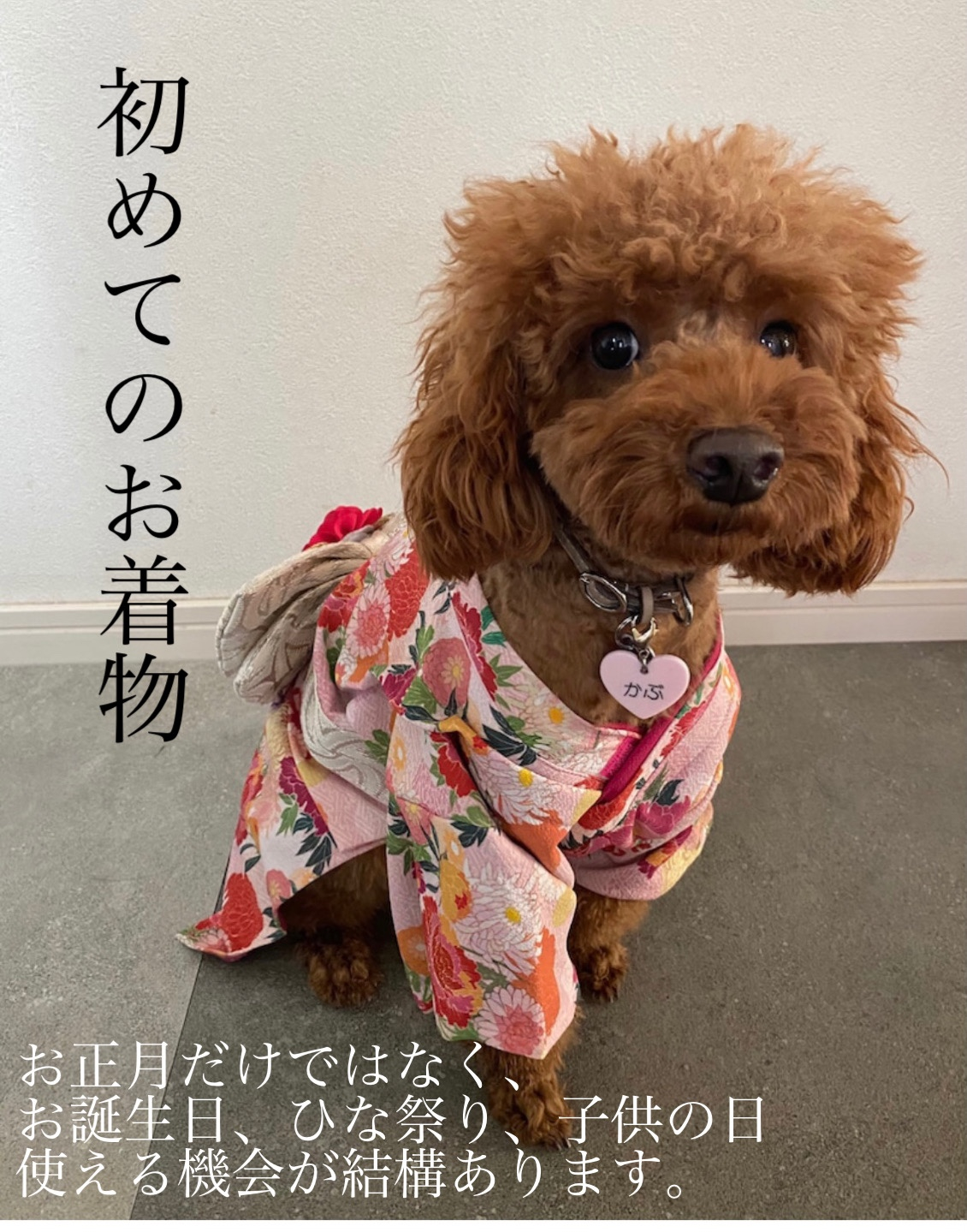 クリアランスsale 30 Off 着物 犬 服 Idog 愛犬用雅着物 あす楽 翌日配送 晴れ着 お祝い お正月 和服 和柄 犬の服 アイドッグ ドッグウェア ペット 猫 きもの 冬 年賀状 I Dog 楽天 チワワ プードル Room 欲しい に出会える