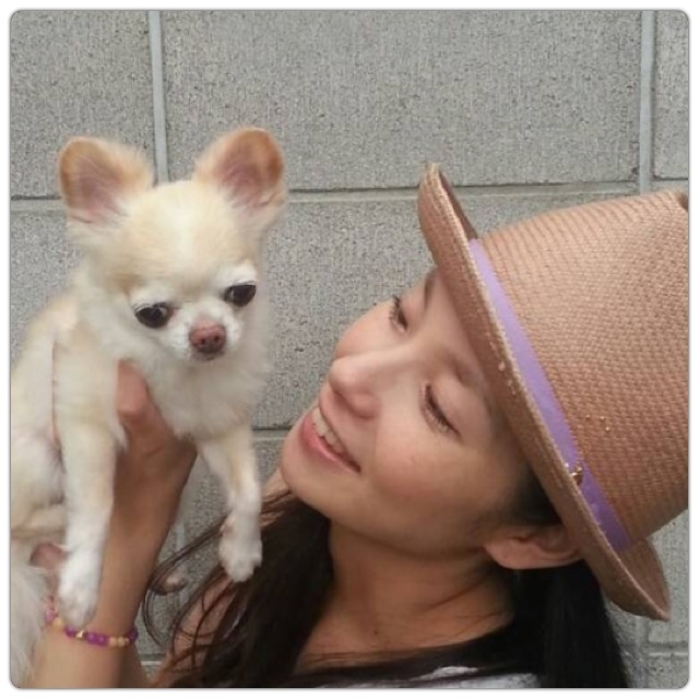 よっこーページ Konica Minolta bizhub C454 Product Information