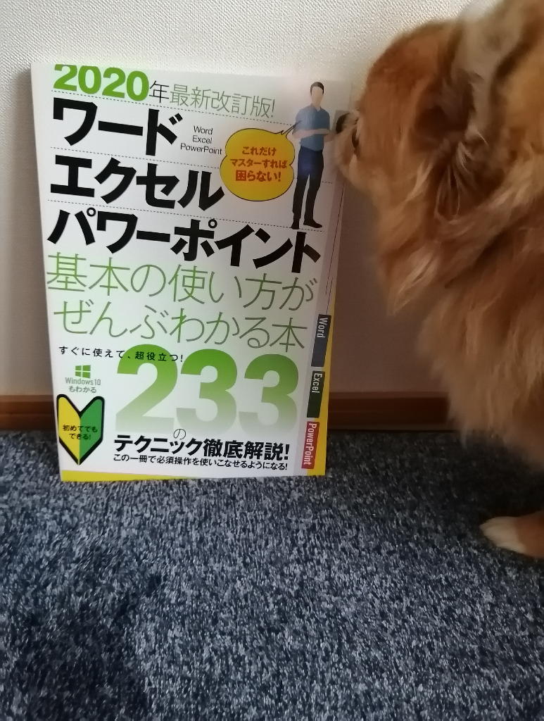 年最新改訂版 ワード エクセル パワーポイント 基本の使い方がぜんぶわかる本 これだけマスターすれば困らない 合同会社浦辺制作所 Room 欲しい に出会える