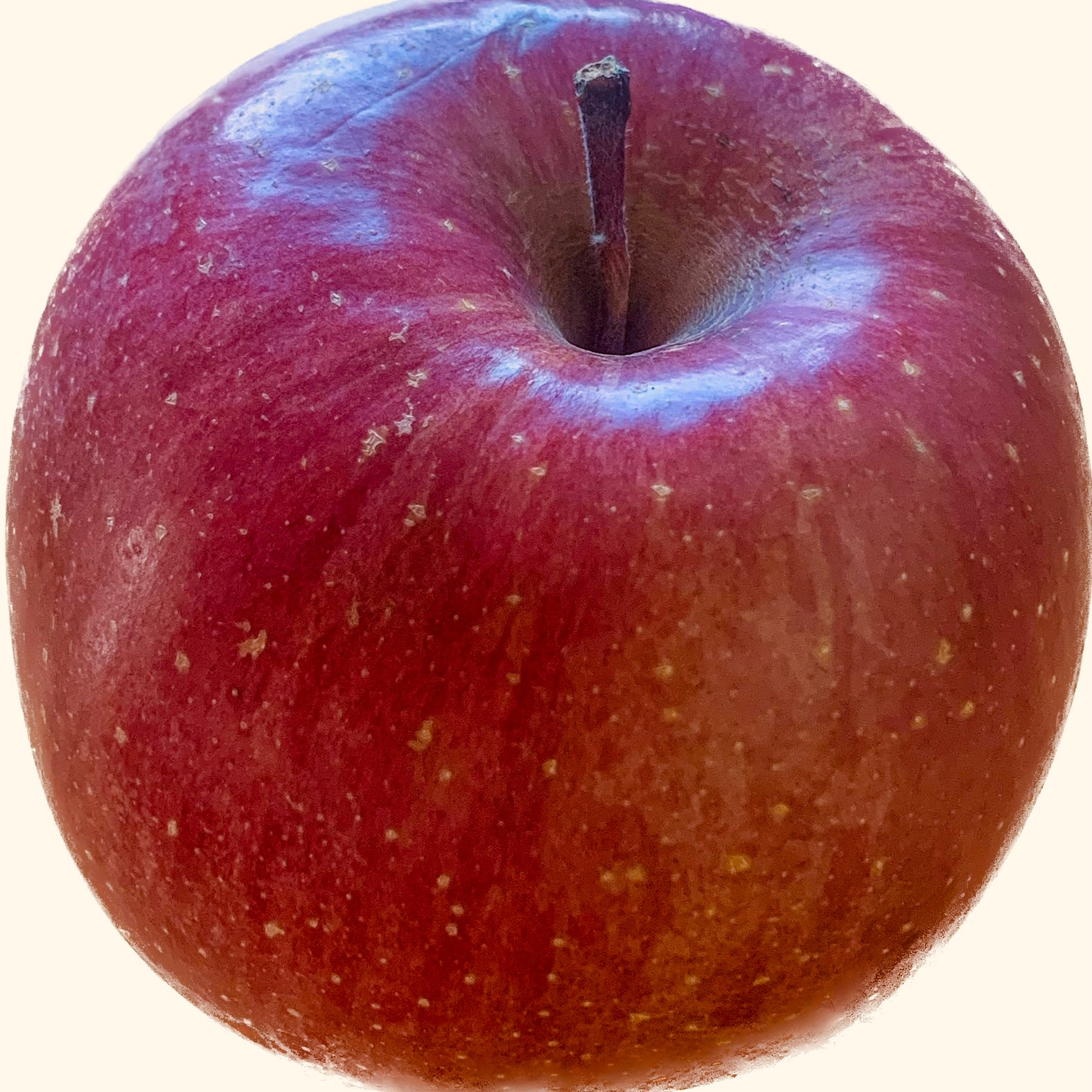 RINGO🍎お礼はプロフ🍎のROOM - 欲しい! に出会える。