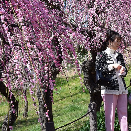 かにゃにゃ🌼2kids mamaのROOM - 欲しい! に出会える。