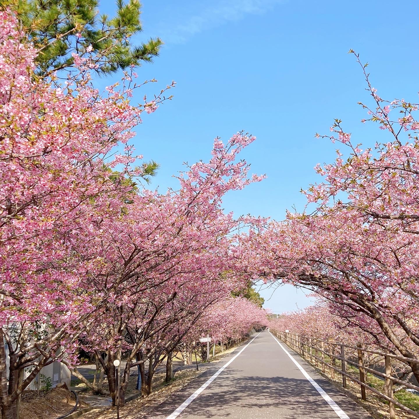 御前崎　岬の宿八潮