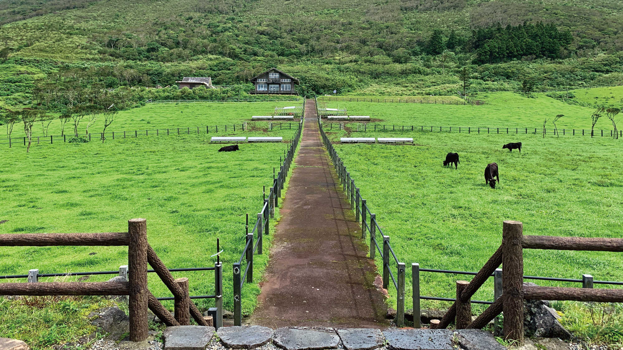라바 사우나 앤 빌라
