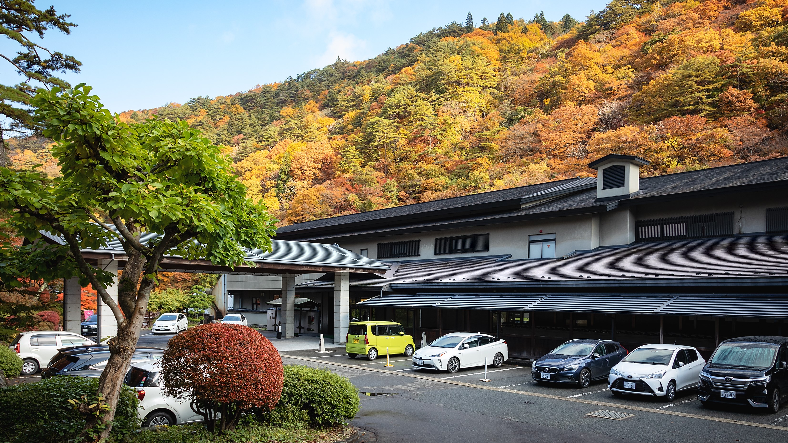 大泽温泉 山水阁旅馆