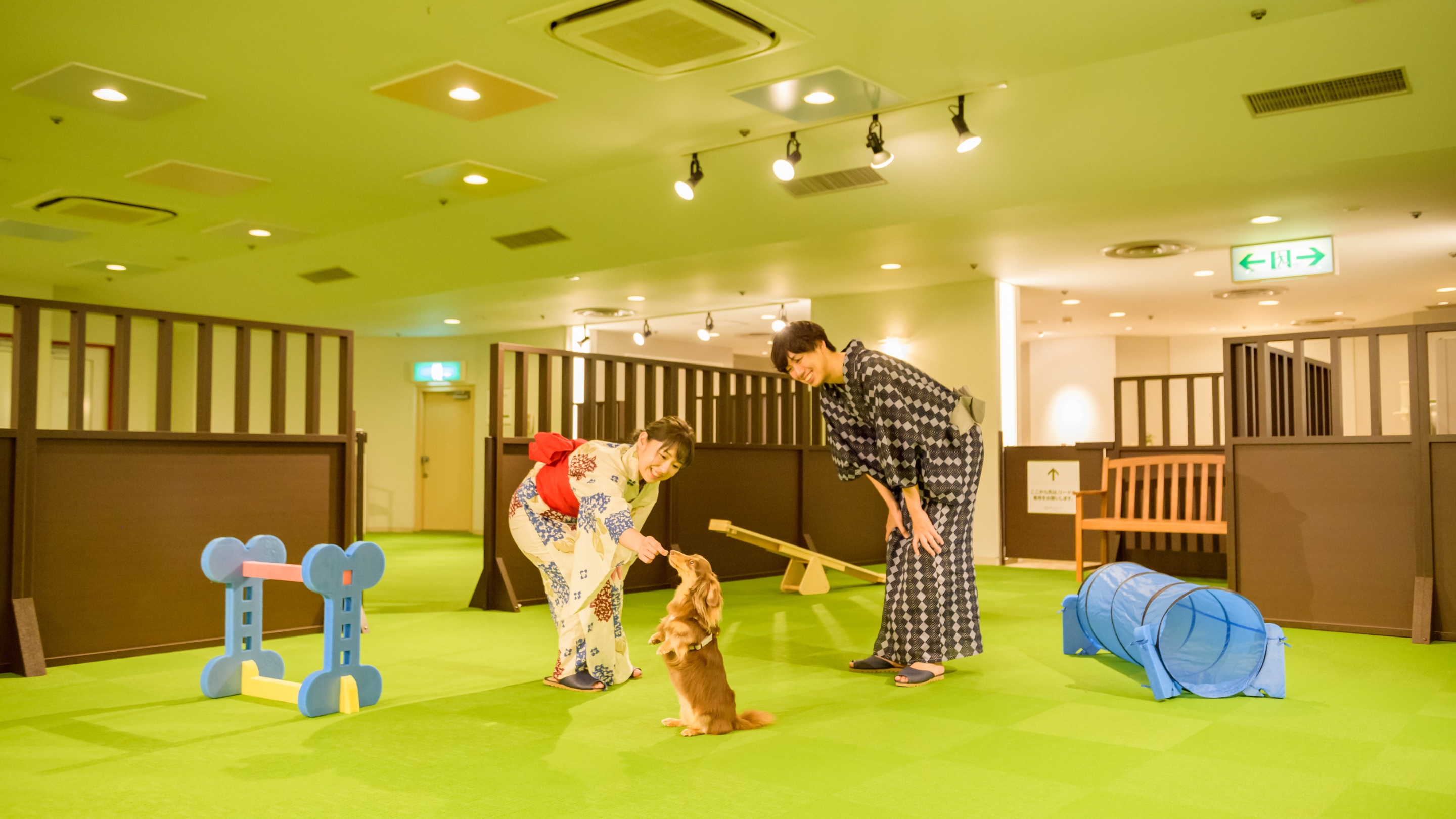 Oedo Onsen Monogatari Wanwan Resort Awazu