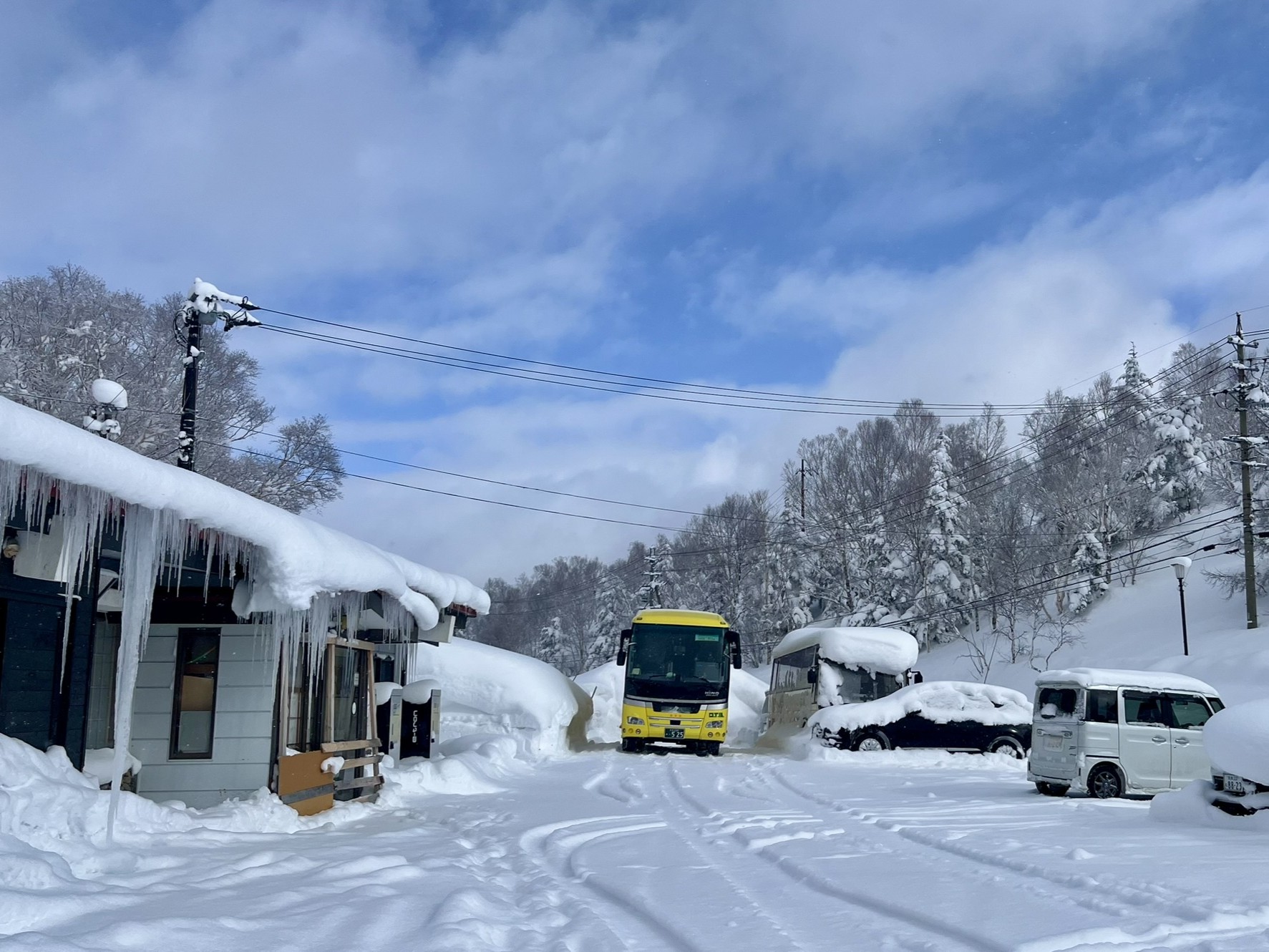 志賀高原 癒しの宿幸の湯
