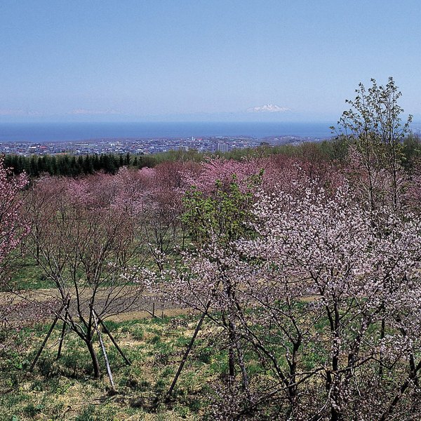 Abashirikohan Hot Spring Hotel Abashirikoso